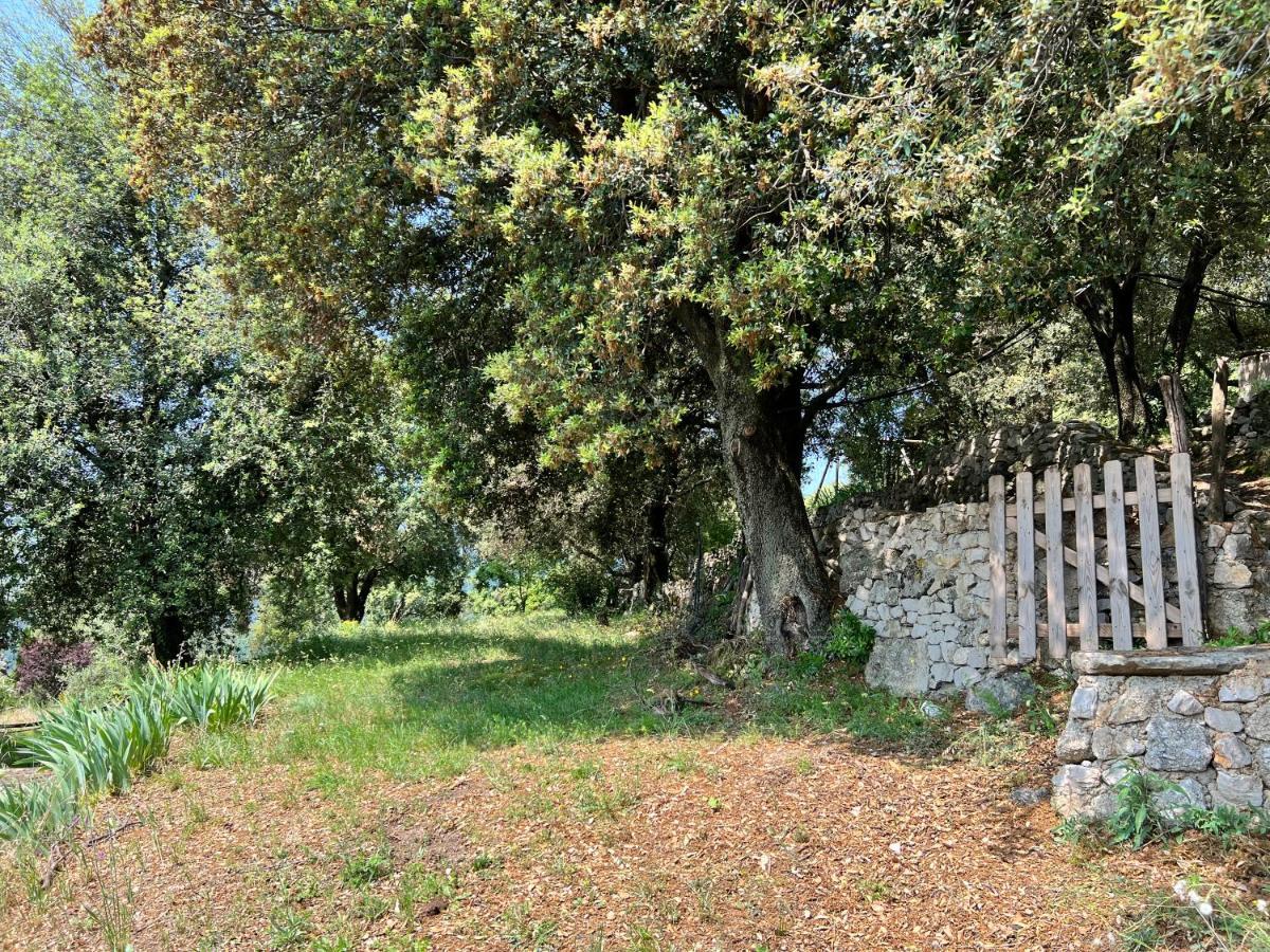 Les Gites D'Ardaillers Valleraugue Exterior photo