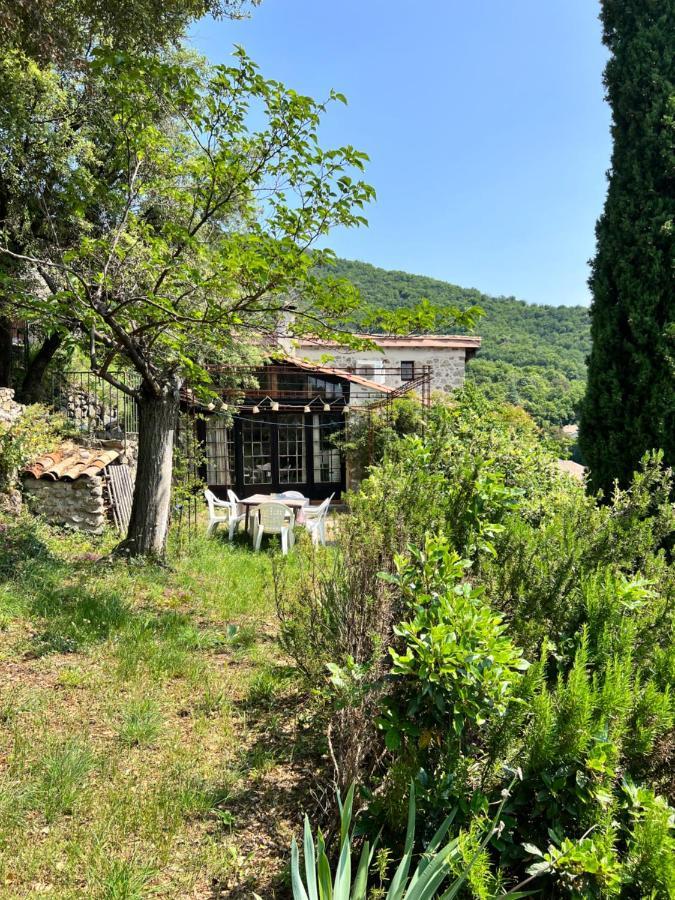 Les Gites D'Ardaillers Valleraugue Exterior photo